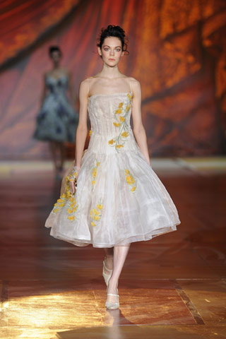 cavalli